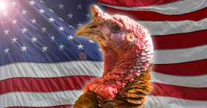 ICH3#15 Click it brings you the Turkeys Crawl Eagles Fly Hash @ Smokin Joe’s | Pittsburgh | Pennsylvania | United States